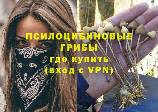 мяу мяу мука Алексеевка