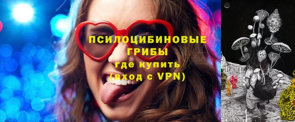 амф Алексин